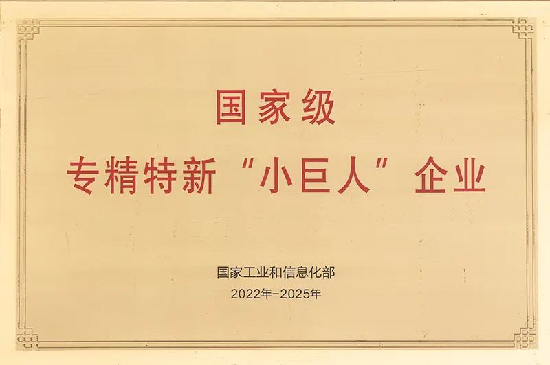 2022 National-level Specialized, Refined, Distinctive, and Innovative “Little Giant” Enterprise